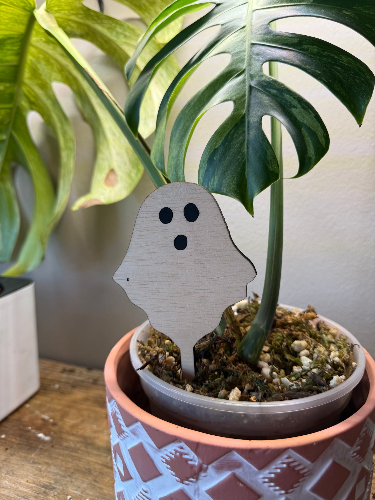 Halloween Plant Stakes