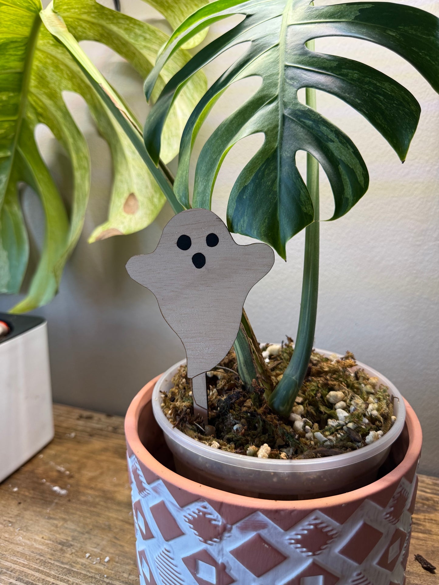 Halloween Plant Stakes