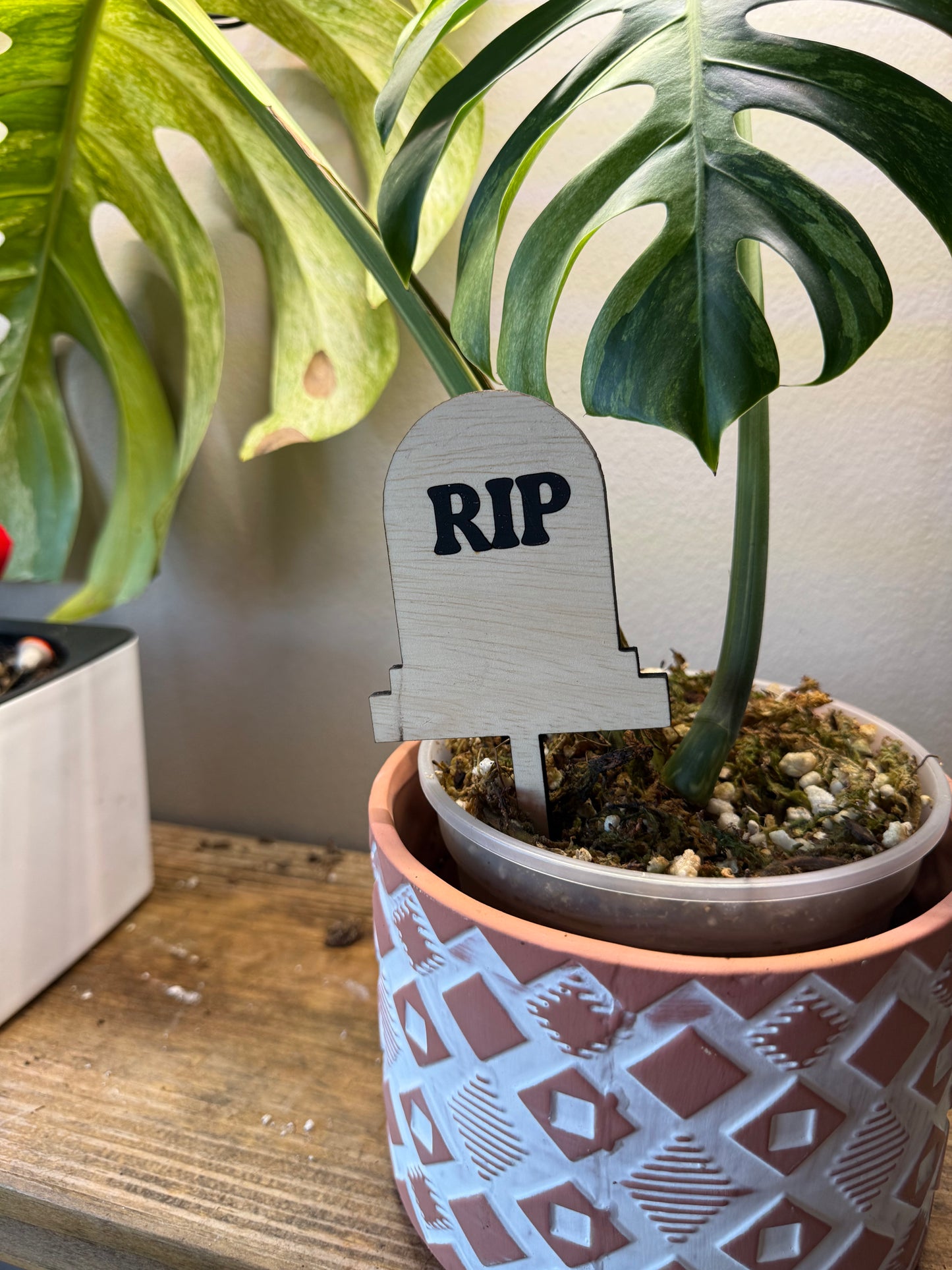 Halloween Plant Stakes