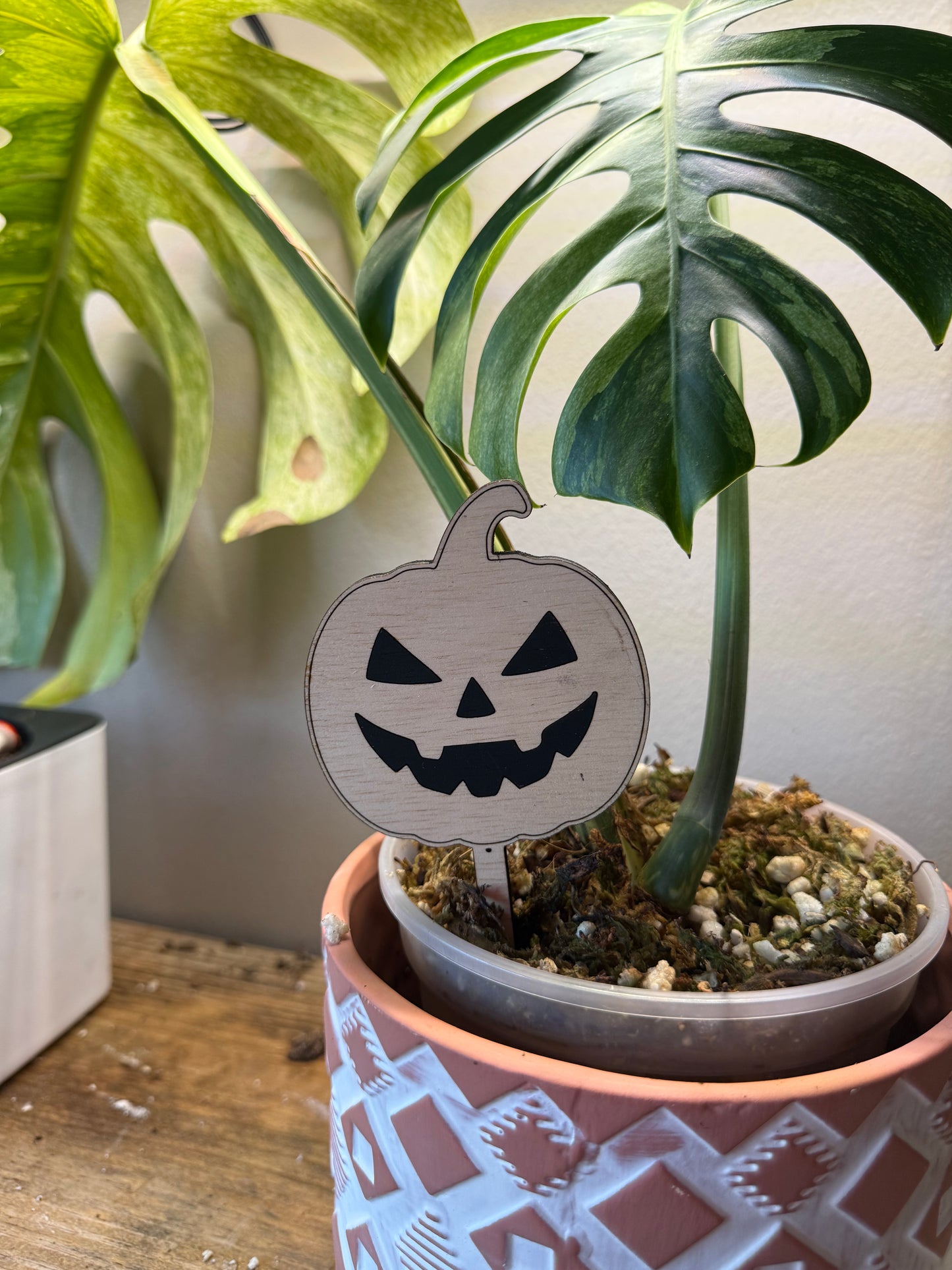 Halloween Plant Stakes